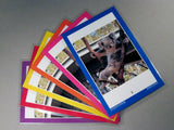 Elementary / Middle School 6-group Diversity Kit.  Each student group gets the same images, but a different color background.
